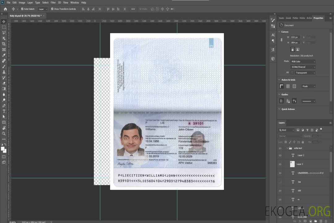 Passeport LIECHTENSTEIN template
